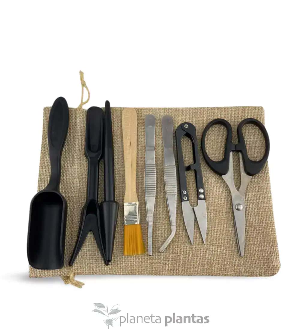 Kit de Herramientas para Transplante y Cuidados