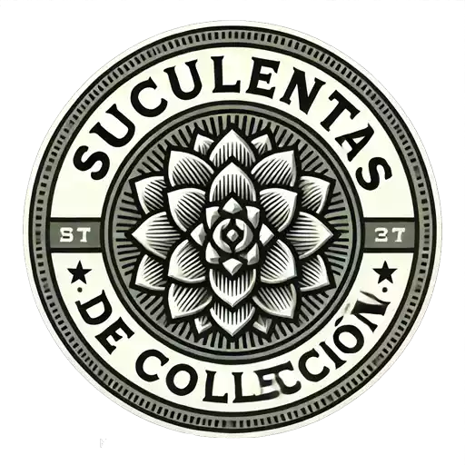 suculentas de colección