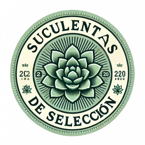 seleccion