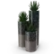 susutrato para suculentas y cactus