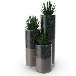 susutrato para suculentas y cactus
