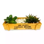 Conjunto Suculentas Jardinera de Madera