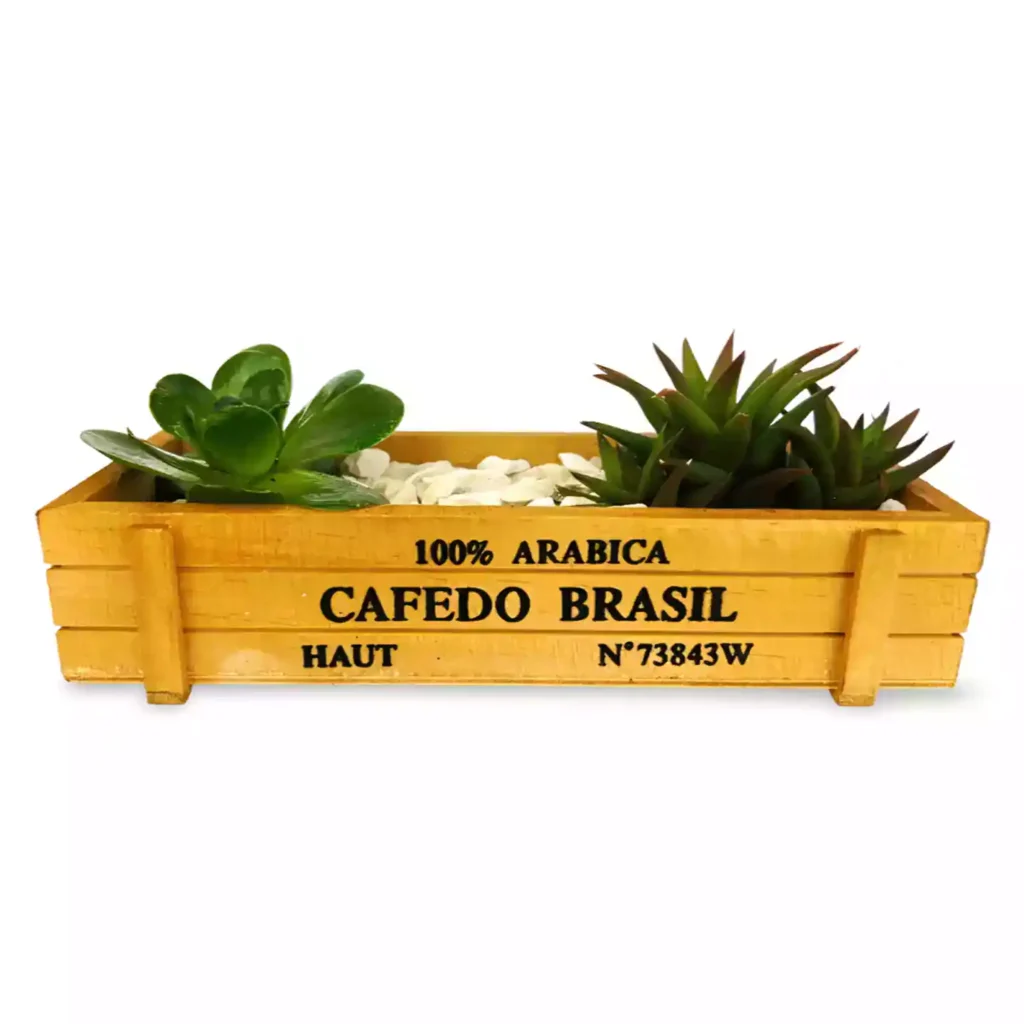 conjunto suculentas madera 1 02 - Suculentas y Cactus directos del Productor