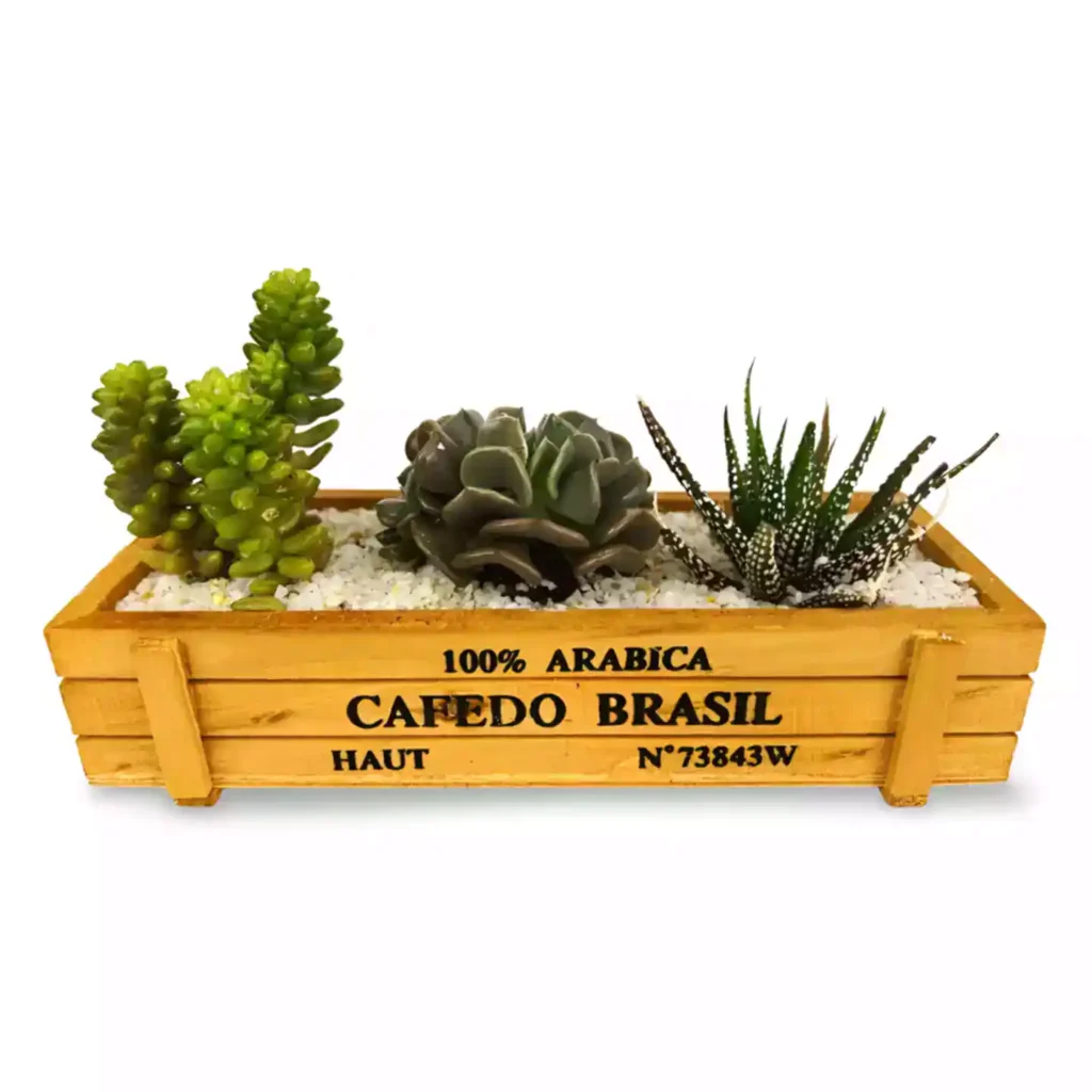 conjunto suculentas madera 2 - Suculentas y Cactus directos del Productor