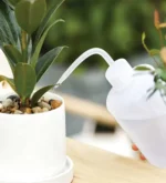 Regadera Vertical Suculentas para riego - Imagen 2