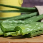 hoja-aloevera-05